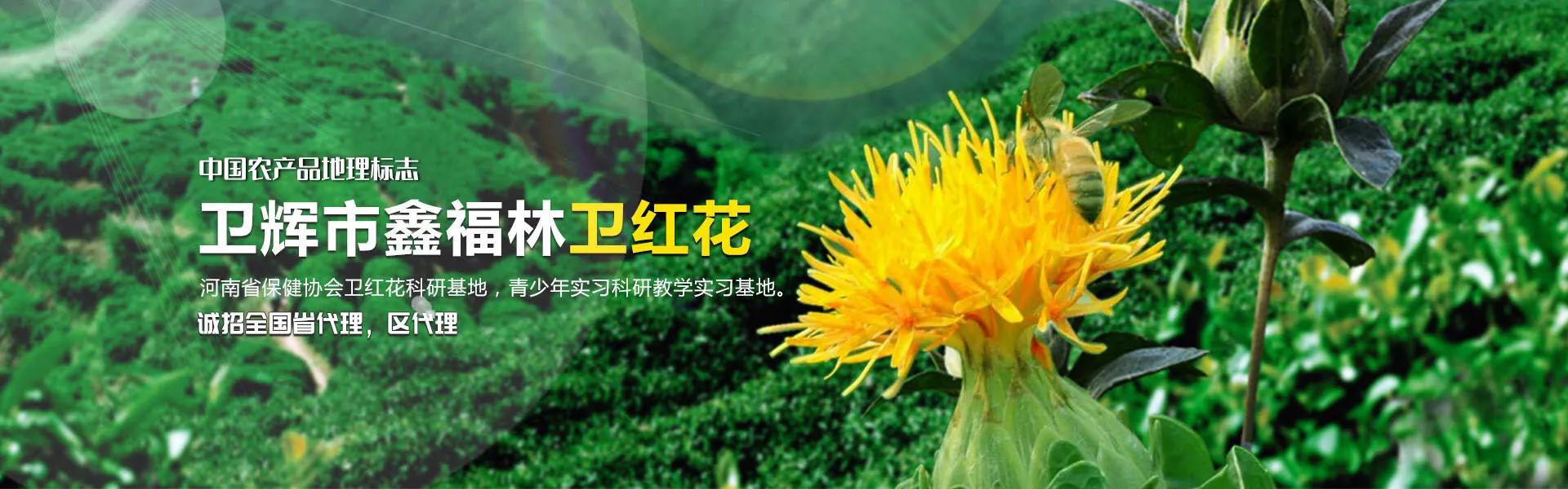 微信图片_20201122205726
